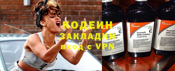 твердый Инта